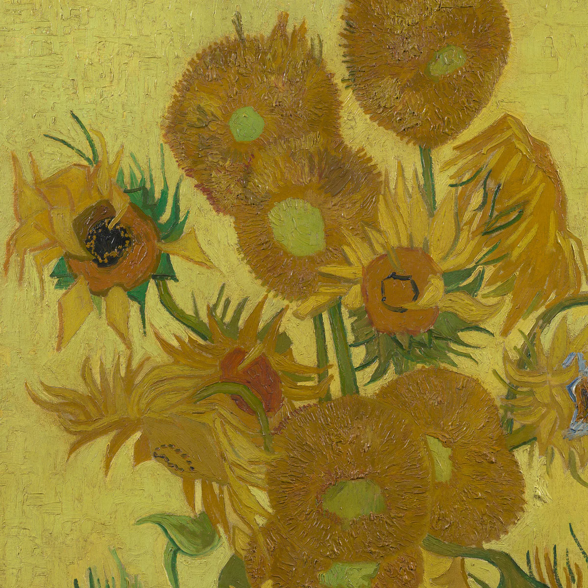 Vincent van Gogh sunflowers